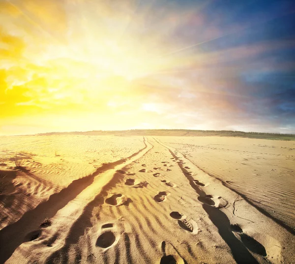 Camino en el desierto — Foto de Stock