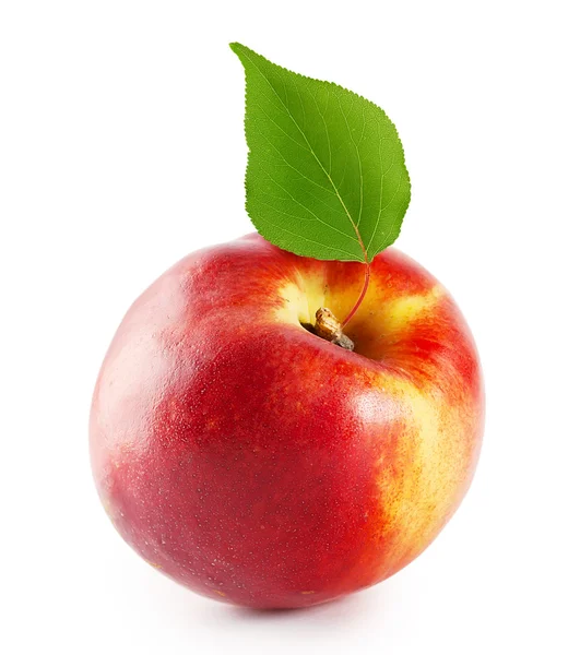 Ripe juicy nectarine with green leaf — Stock Photo, Image