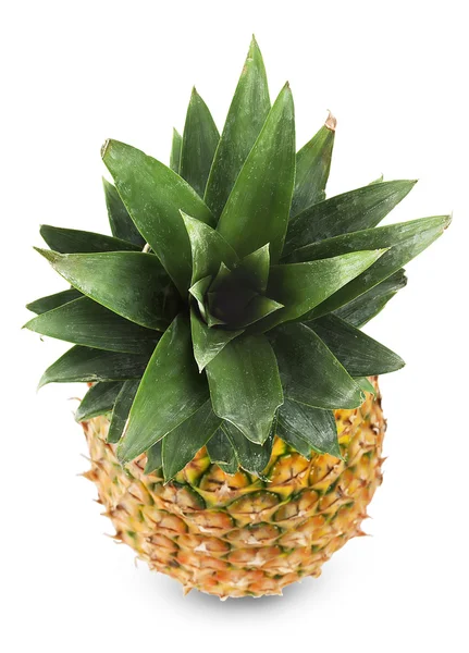 Ananas met heldere groene bladeren — Stockfoto