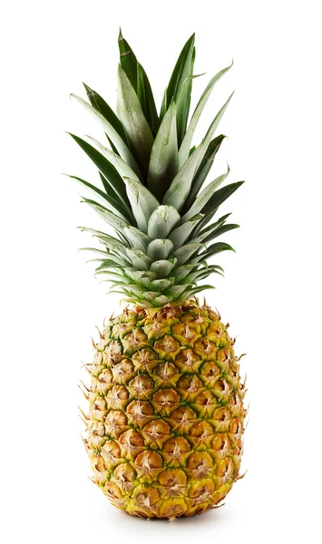Rijpe sappige ananas — Stockfoto