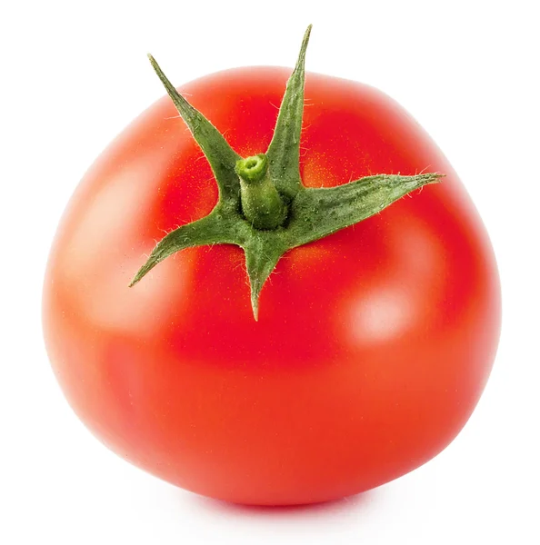 Jasne, dojrzały pomidor — Zdjęcie stockowe