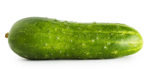 Green useful cucumber — Stock Photo, Image