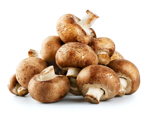 Mucchio di funghi crudi — Foto Stock