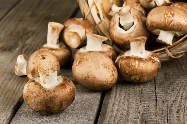 Funghi crudi con cappello marrone — Foto Stock