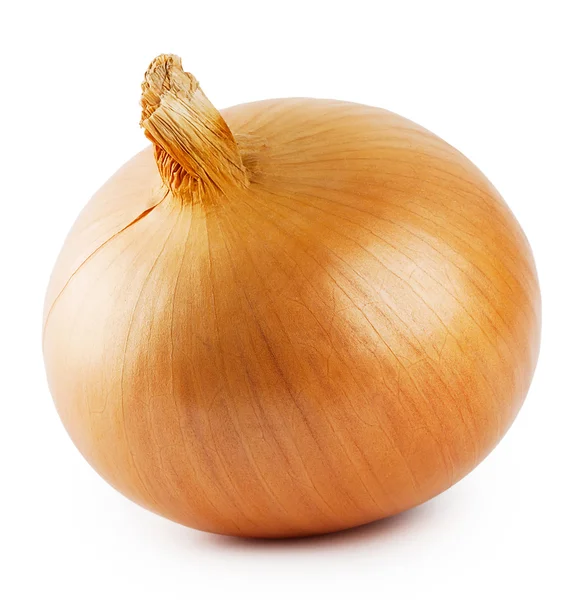 Crude round onion — Stock Photo, Image