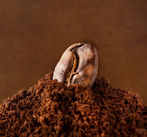 Coffee beans — Stock Photo, Image