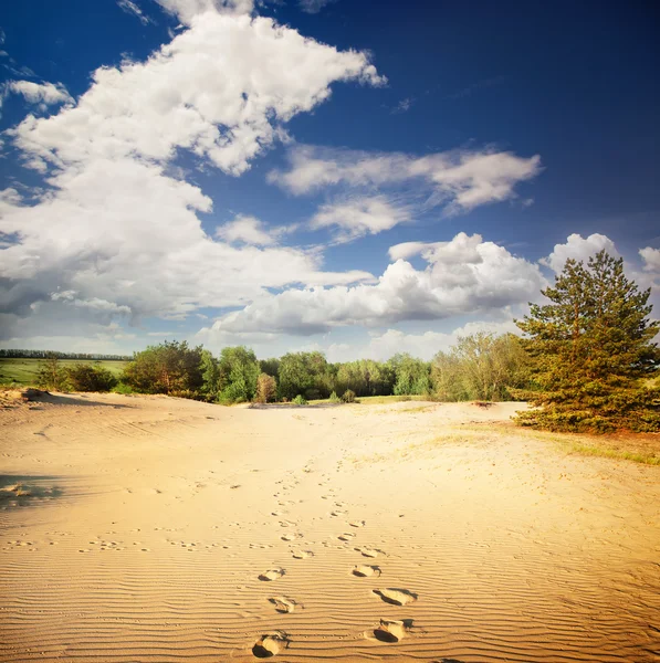 Footprints in the hot sand in the desert — Stock Photo, Image