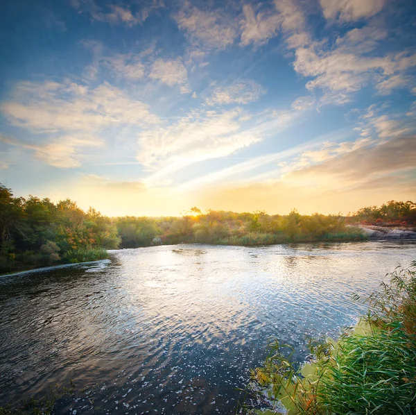 Morgendämmerung auf dem Fluss, der in den Wald fließt — Stockfoto