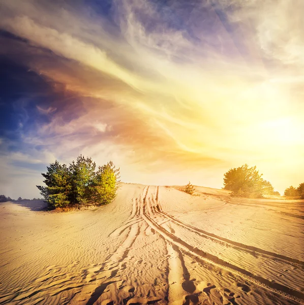 Camino en la arena caliente del desierto — Foto de Stock