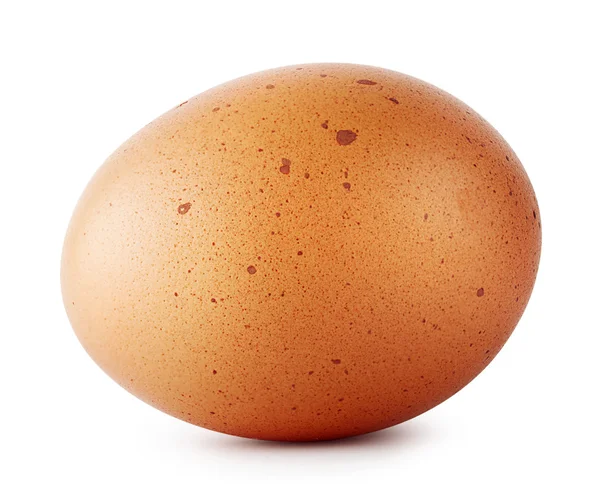 갈색 닭 계란 얼룩 — 스톡 사진
