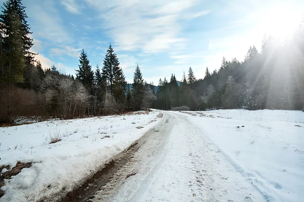 Úttest road, a téli erdő — Stock Fotó