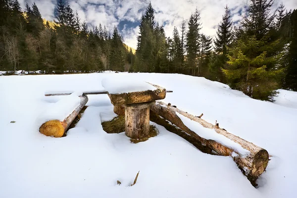 Tavolo e panche in legno in una radura nella foresta invernale — Foto Stock