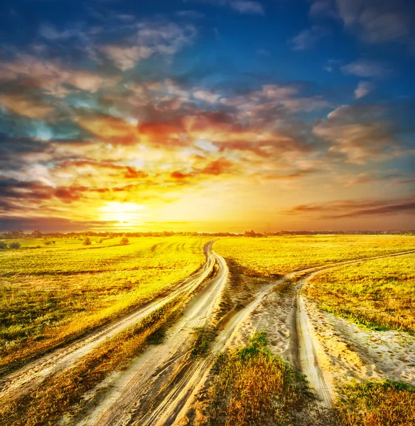 Two divergent sandy road in a field Royalty Free Stock Images