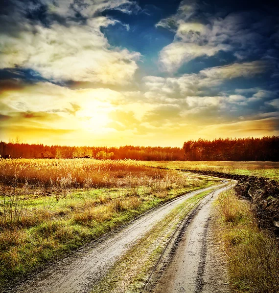 Dirt winding road in a field Stock Picture