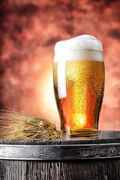 Стакан пива с пшеничными ушами — стоковое фото