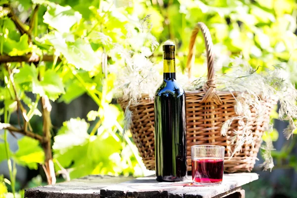 Still life with a bottle and glass of wine — Stock Photo, Image