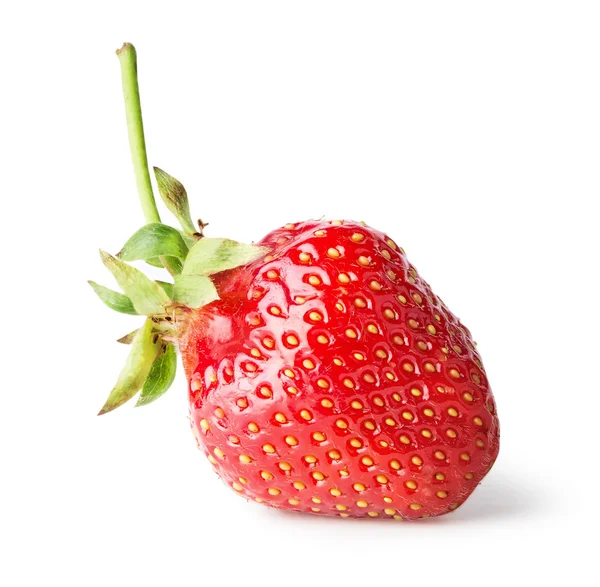 Bright ripe strawberry with handle — Stock Photo, Image