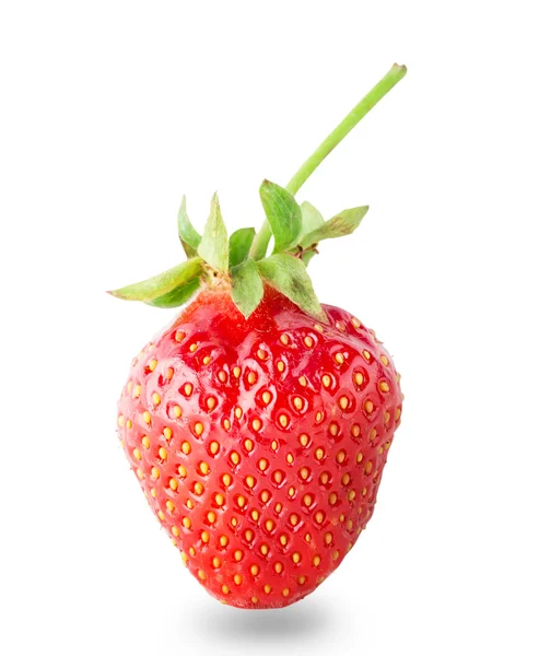 Red strawberry with green handle — Stock Photo, Image