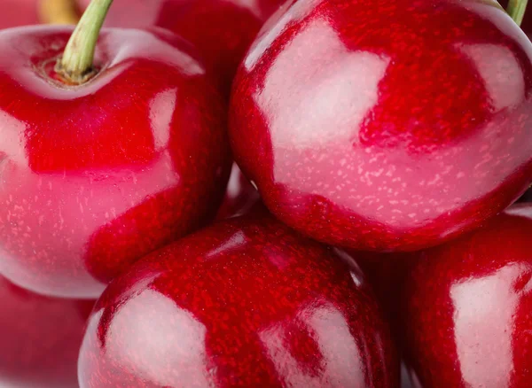 Detail of berries ripe juicy cherry — Stock fotografie