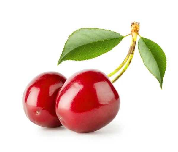 Dos cerezas maduras brillantes con hojas — Foto de Stock