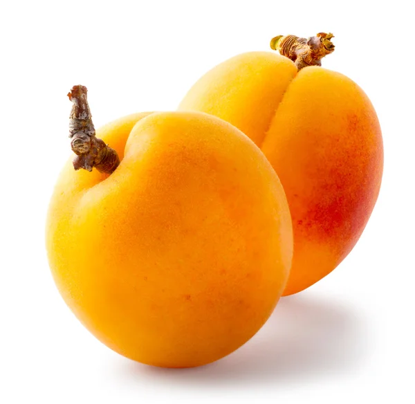 Dvě zralé meruňky — Stock fotografie