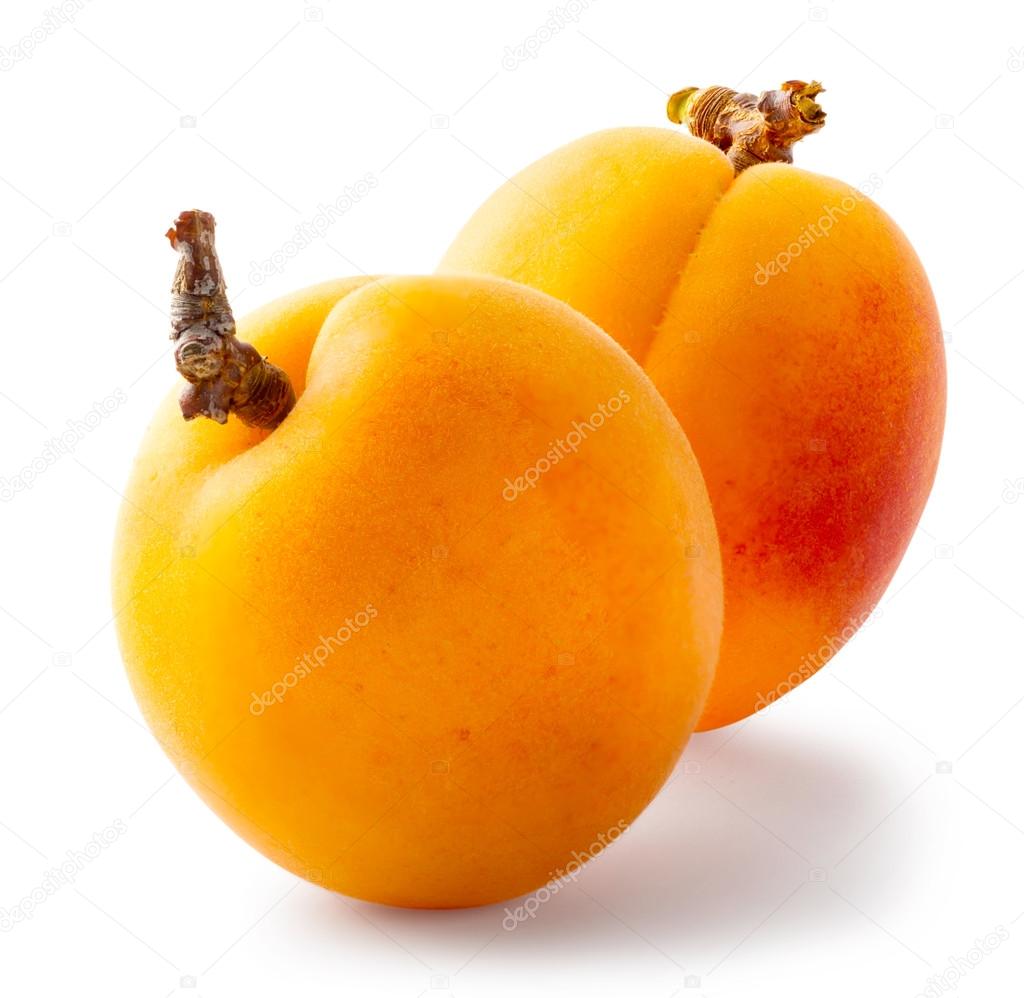 Two ripe apricots