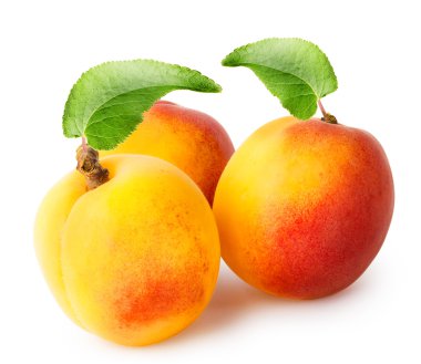 Three bright fragrant apricot with leaves