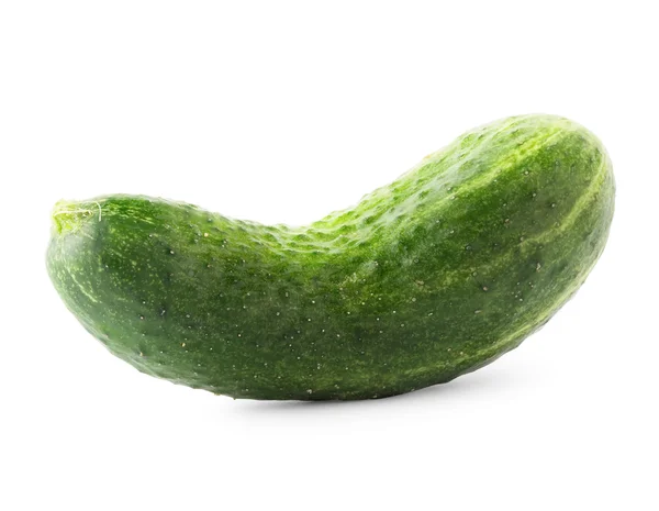 Green ripe cucumber — Zdjęcie stockowe