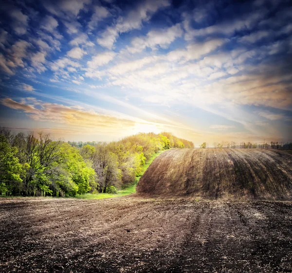 Campo caricato con un atterraggio — Foto Stock