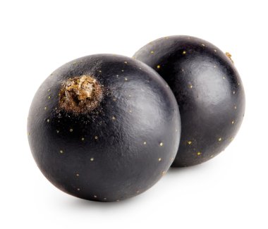 İki Siyah frenk üzümü