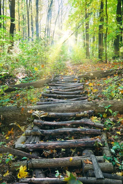 Ponte de troncos redondos — Fotografia de Stock