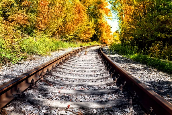Ferrocarril en el bosque de otoño — Foto de Stock