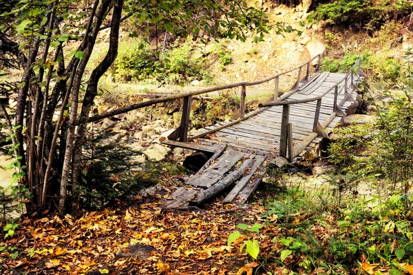 Ponte de madeira sobre o fluxo — Fotografia de Stock