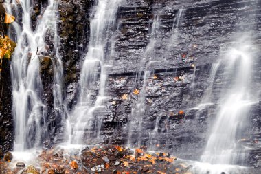 Şelale sonbahar yaprakları ile detay