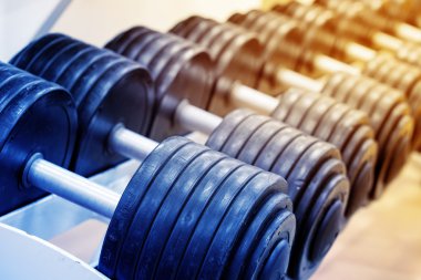 Raf üzerinde ağır dumbbells sayısı