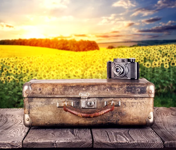 Mala com uma câmera — Fotografia de Stock