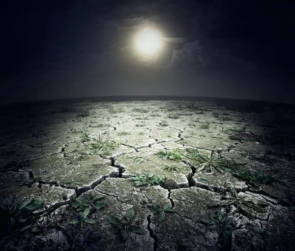 Gezegenin kuru kırık yüzey