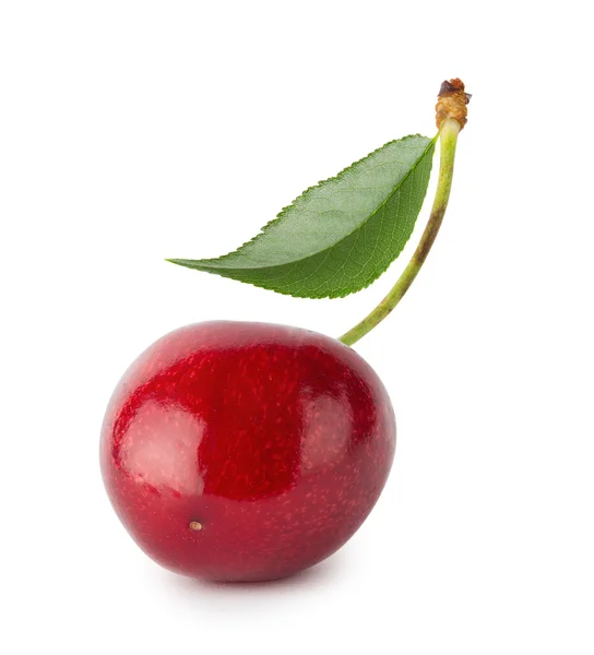 Mogna saftiga röda körsbär med blad — Stockfoto