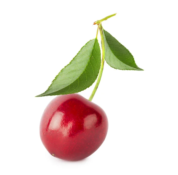 Mogna saftiga söta körsbär med blad — Stockfoto