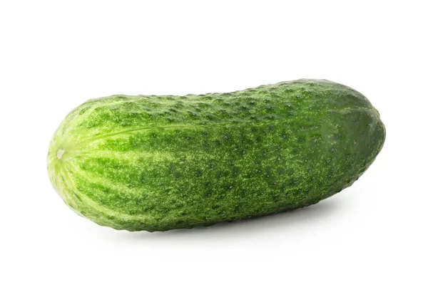 Pepino verde brillante — Foto de Stock