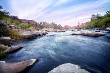Dağ nehir büyümüş ağaç kayalık bankalarda