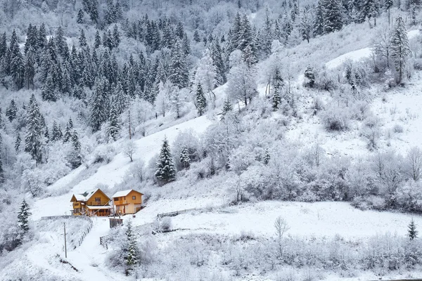 Floresta nevada com casa na encosta da montanha — Fotografia de Stock