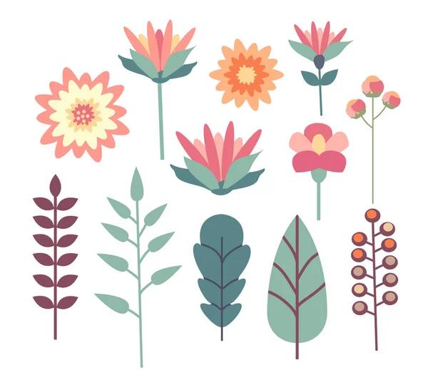 Set de flores, tallos, ramas y hojas aisladas en blanco en estilo plano vectorial. — Vector de stock