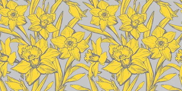 Yellow Illuminating Narcissus Hand Drawn Closeup on Ultimate Grey Background. — 스톡 벡터