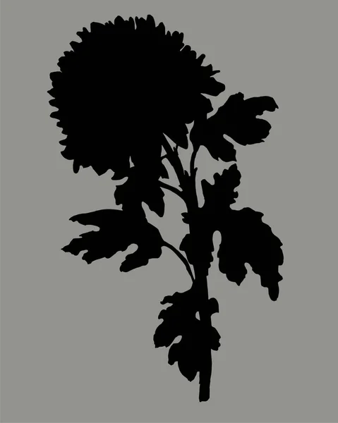 Zwart silhouet van Chrysant bloem, stengel en bladeren geïsoleerd op grijs. — Stockvector