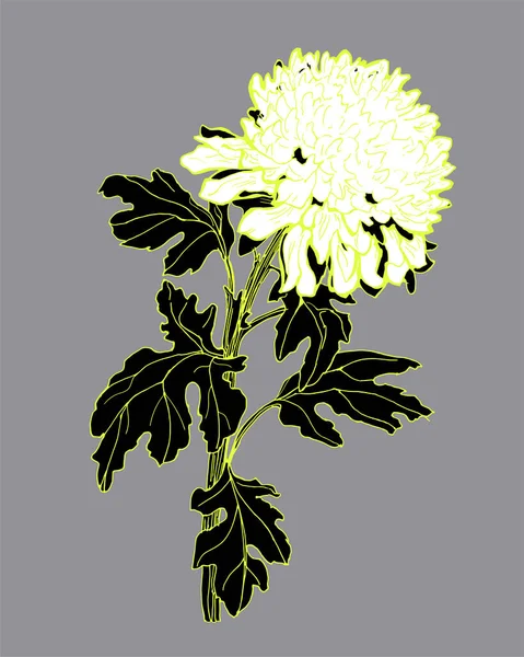 Luxuriöse Skizze von Chrysanthemenblüte, Stängel und Blätter grau isoliert. — Stockvektor