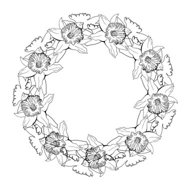 El çizimi çiçekli botanik çelengi narsis.. 