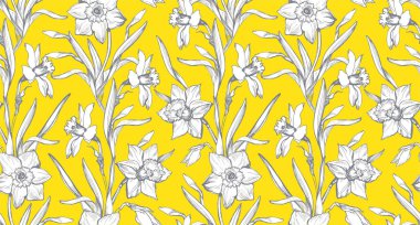 İlkbahar beyazı Narcissus 'un trend sarı aydınlatmasıyla doğa sakinleşti..