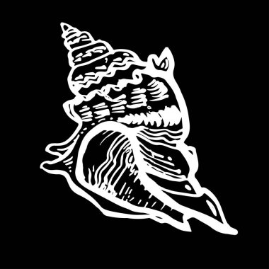 El yapımı deniz kabuğu siyah arkaplan üzerine beyaz mürekkep çizimi.