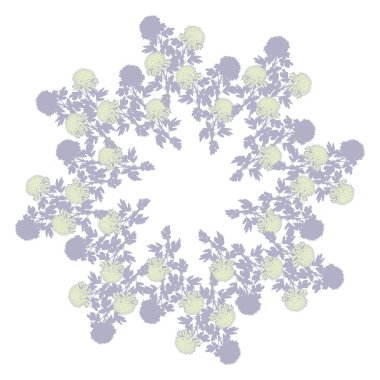 Kasımpatı çiçeğinin yumuşak pastel rengi çelengi beyaza izole edilmiş..